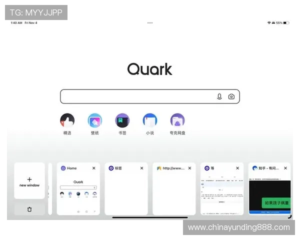 如何下载和安装4008云顶浏览器确保安全稳定的浏览体验